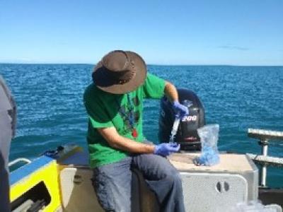 Offshore sampling